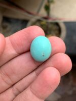 16.05 Carat Afghan Turquoise Cabochon: Natural Feroza Gemstone - Image 3