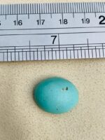 16.05 Carat Afghan Turquoise Cabochon: Natural Feroza Gemstone - Image 8
