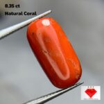 8.35ct Natural Coral Gemstone: Jewelry Making Stone (16.88mm)