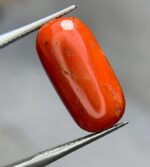 8.35ct Natural Coral Gemstone: Jewelry Making Stone (16.88mm) - Image 2