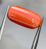 8.35ct Natural Coral Gemstone: Jewelry Making Stone (16.88mm) - Image 5