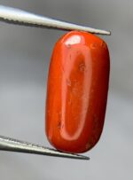 8.35ct Natural Coral Gemstone: Jewelry Making Stone (16.88mm) - Image 6