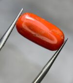 8.35ct Natural Coral Gemstone: Jewelry Making Stone (16.88mm) - Image 9