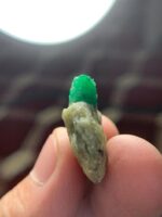 33.15 ct Swat Emerald Specimen – A Majestic Gem from Pakistan - Image 10