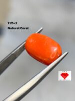 Exploring the Beauty of a 7.25ct Coral Stone: A Gem of Exceptional Size and Vibrancy