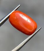 Exploring the Beauty of a 7.25ct Coral Stone: A Gem of Exceptional Size and Vibrancy - Image 2