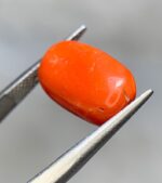 Exploring the Beauty of a 7.25ct Coral Stone: A Gem of Exceptional Size and Vibrancy - Image 3
