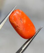 Exploring the Beauty of a 7.25ct Coral Stone: A Gem of Exceptional Size and Vibrancy - Image 4