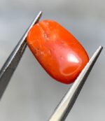 Exploring the Beauty of a 7.25ct Coral Stone: A Gem of Exceptional Size and Vibrancy - Image 5