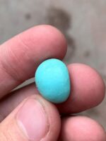 Exquisite Afghan Turquoise: 13.00 ct Gemstone Spotlight - Image 2