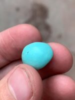 Exquisite Afghan Turquoise: 13.00 ct Gemstone Spotlight - Image 3