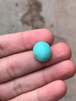 Exquisite Afghan Turquoise: 13.00 ct Gemstone Spotlight - Image 5