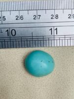 Exquisite Afghan Turquoise: 13.00 ct Gemstone Spotlight - Image 8