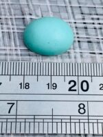 Afghan Turquoise Showcase: 14.94 ct Gem of Natural Beauty - Image 8