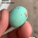 18.50 ct Afghan Turquoise Cabochon: A Gemstone Spotlight