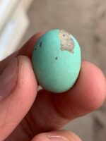 18.50 ct Afghan Turquoise Cabochon: A Gemstone Spotlight - Image 2