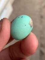 18.50 ct Afghan Turquoise Cabochon: A Gemstone Spotlight - Image 3