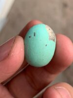 18.50 ct Afghan Turquoise Cabochon: A Gemstone Spotlight - Image 11