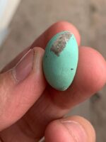 18.50 ct Afghan Turquoise Cabochon: A Gemstone Spotlight - Image 12