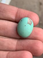 18.50 ct Afghan Turquoise Cabochon: A Gemstone Spotlight - Image 7