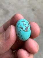 27.07ct Afghan Turquoise Cabochon: A Statement of Natural Beauty - Image 7