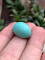 20.30-Carat Afghan Turquoise: A Balanced Gem of Color and Elegance - Image 3
