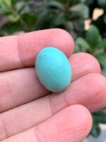 20.30-Carat Afghan Turquoise: A Balanced Gem of Color and Elegance - Image 4