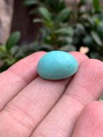 20.30-Carat Afghan Turquoise: A Balanced Gem of Color and Elegance - Image 6