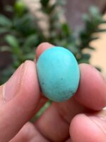 20.30-Carat Afghan Turquoise: A Balanced Gem of Color and Elegance - Image 10