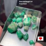Swat Valley’s Hidden Gem: A 55.87 ct Rough Emerald Lot