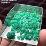 Exploring a 45.30 Carat Emerald Rough Lot from Swat