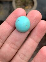 18.92-Carat Afghan Turquoise: A Bold Oval Treasure with Natural Harmony - Image 5