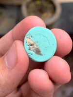18.92-Carat Afghan Turquoise: A Bold Oval Treasure with Natural Harmony - Image 7