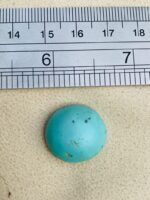 18.92-Carat Afghan Turquoise: A Bold Oval Treasure with Natural Harmony - Image 8