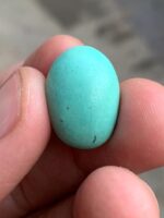 13.66 ct Afghan Turquoise Cabochon – A Timeless Natural Gem - Image 2