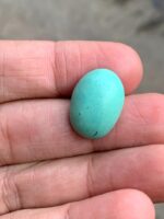 13.66 ct Afghan Turquoise Cabochon – A Timeless Natural Gem - Image 6