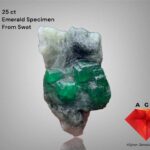 A 25-Carat Swat Emerald Specimen: A Compact Powerhouse of Natural Beauty