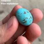 26.50ct Afghan Turquoise Cabochon: Oval Gemstone