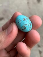 26.50ct Afghan Turquoise Cabochon: Oval Gemstone - Image 4