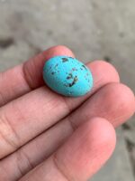 26.50ct Afghan Turquoise Cabochon: Oval Gemstone - Image 6