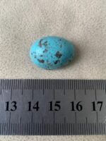 26.50ct Afghan Turquoise Cabochon: Oval Gemstone - Image 8
