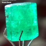 A Fine 7.65 ct Emerald Crystal from Swat: Compact, Vibrant & Collectible