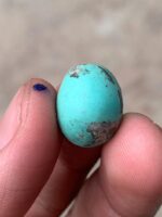 Striking Afghan Turquoise Cabochon: 14.55 Carats of Natural Elegance - Image 8