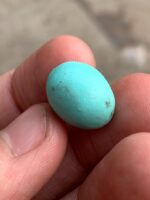 Charming 12.85ct Afghan Turquoise Cabochon – A Gem of Natural Splendor - Image 2