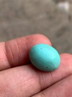 Charming 12.85ct Afghan Turquoise Cabochon – A Gem of Natural Splendor - Image 5