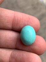 Charming 12.85ct Afghan Turquoise Cabochon – A Gem of Natural Splendor - Image 6