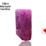 7.880ct African Ruby Crystal – Natural Uncut Beauty (12.83 x 6.93 x 6.06mm)