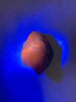 111 ct Hackmanite Crystal from Afghanistan - Image 3