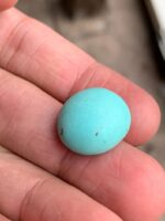 17.15 ct Afghan Turquoise Cabochon – A Gem of History and Heritage - Image 2