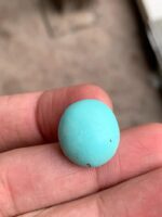 17.15 ct Afghan Turquoise Cabochon – A Gem of History and Heritage - Image 3